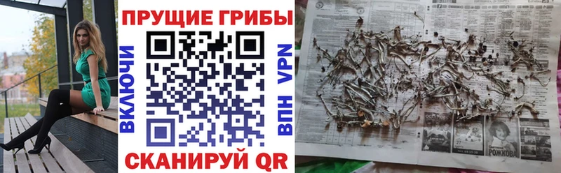 Купить  Сарапул  Галлюциногенные грибы прущие грибы 